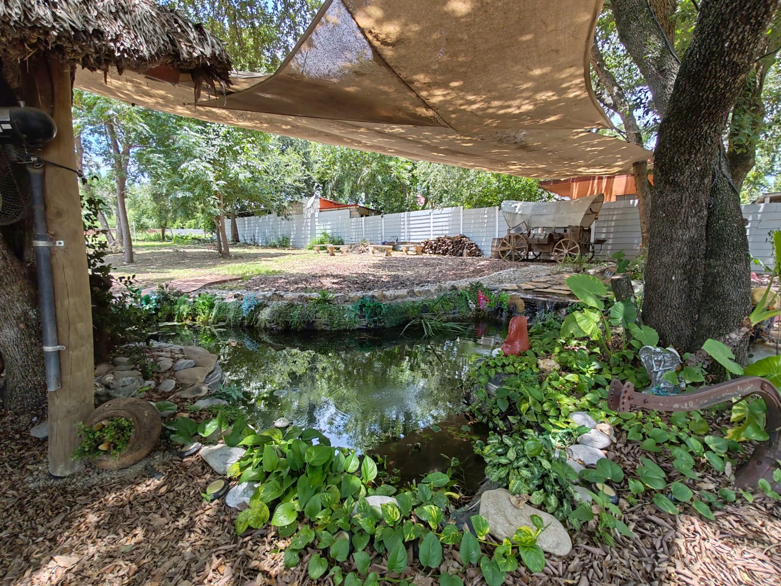 https://regioservicios.com/inmobiliaria/detalle/quinta-en-venta-en-montemorelos-quinta-venta-montemorelos-canoas-foto_10
