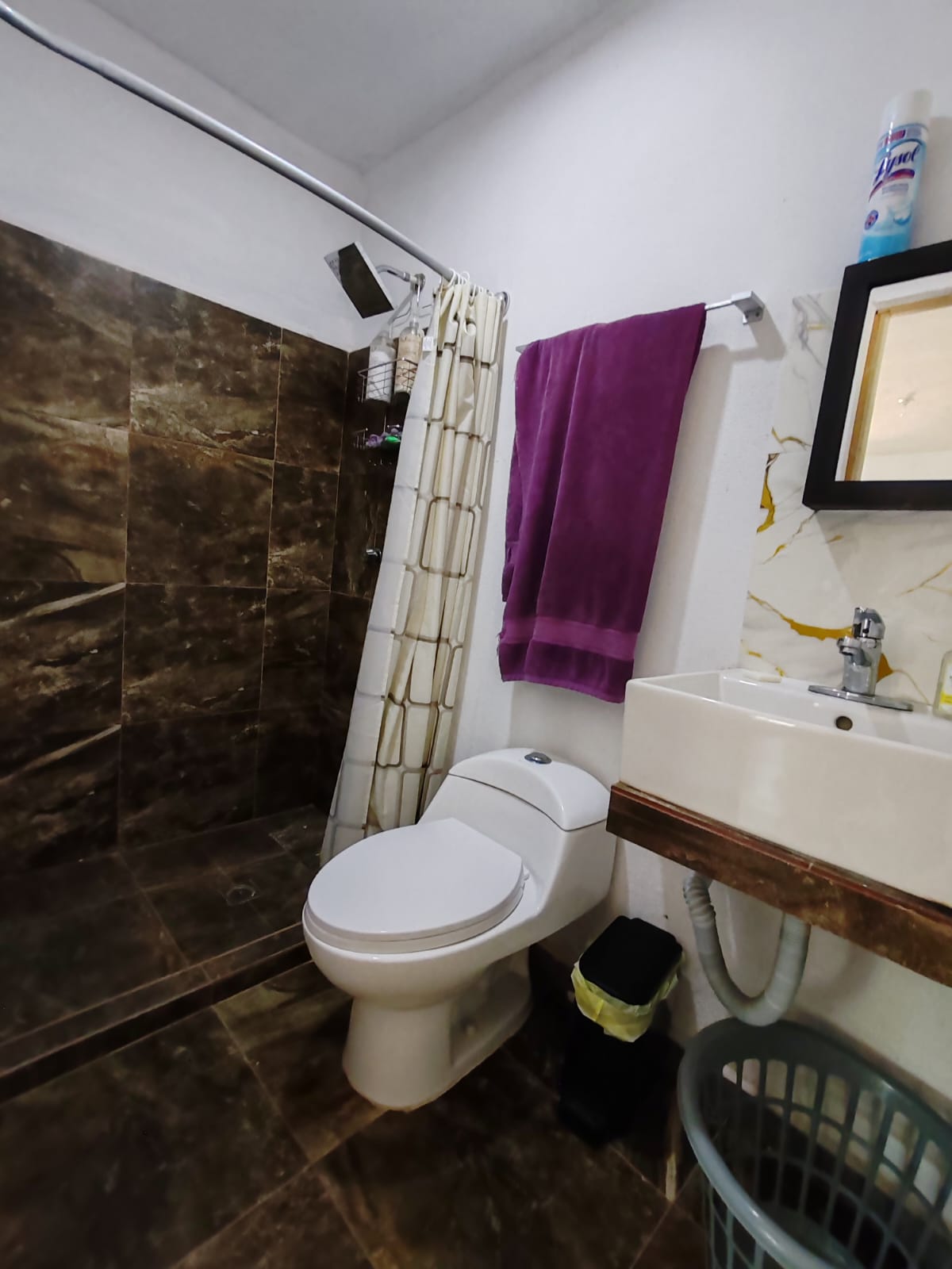https://regioservicios.com/inmobiliaria/detalle/quinta-en-venta-en-montemorelos-quinta-venta-montemorelos-canoas-foto_17
